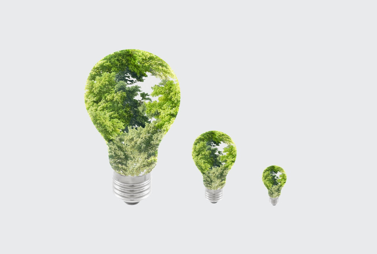 Follow the Green Light Trails: e-bikes and the environment