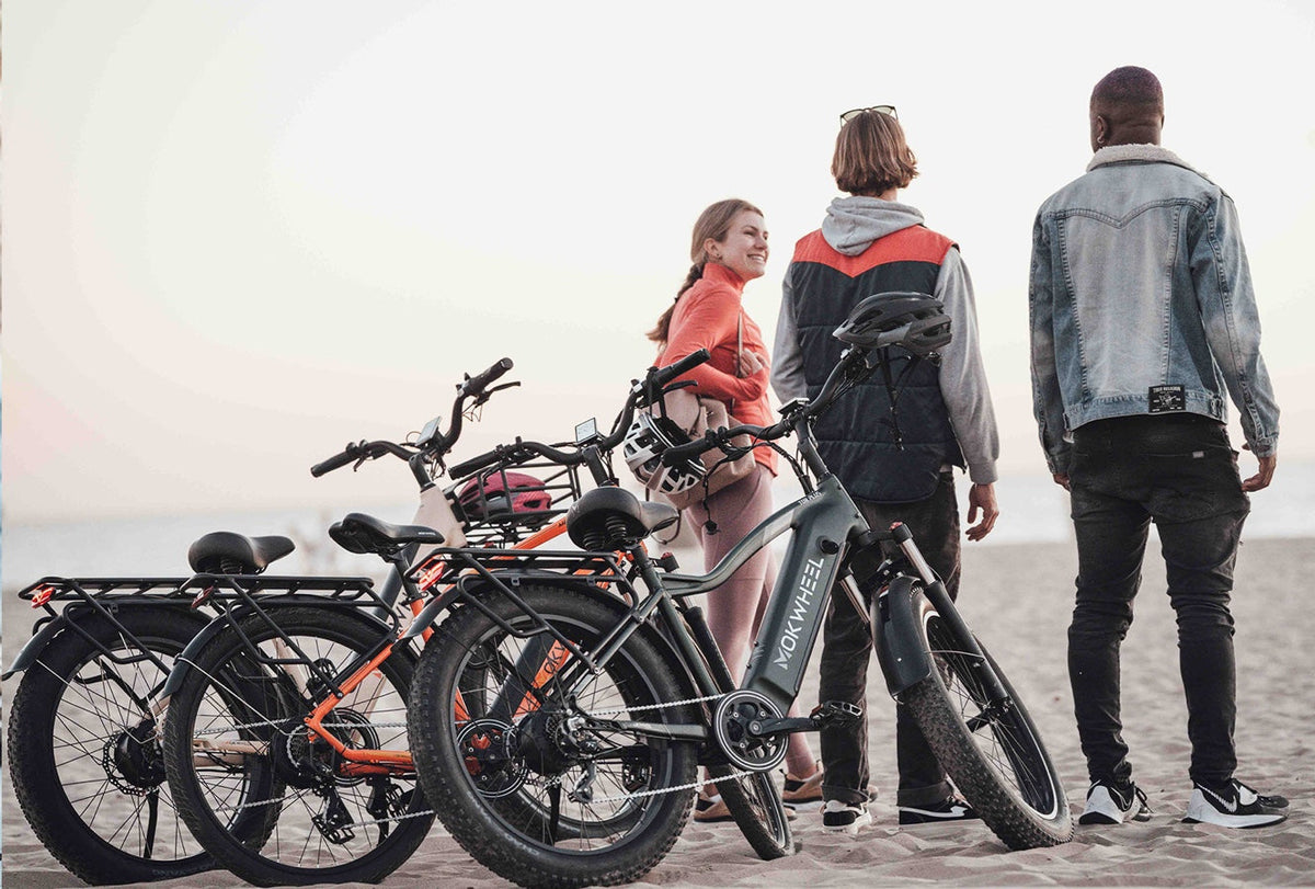 Mokwheel e-Bikes, the sustainable way