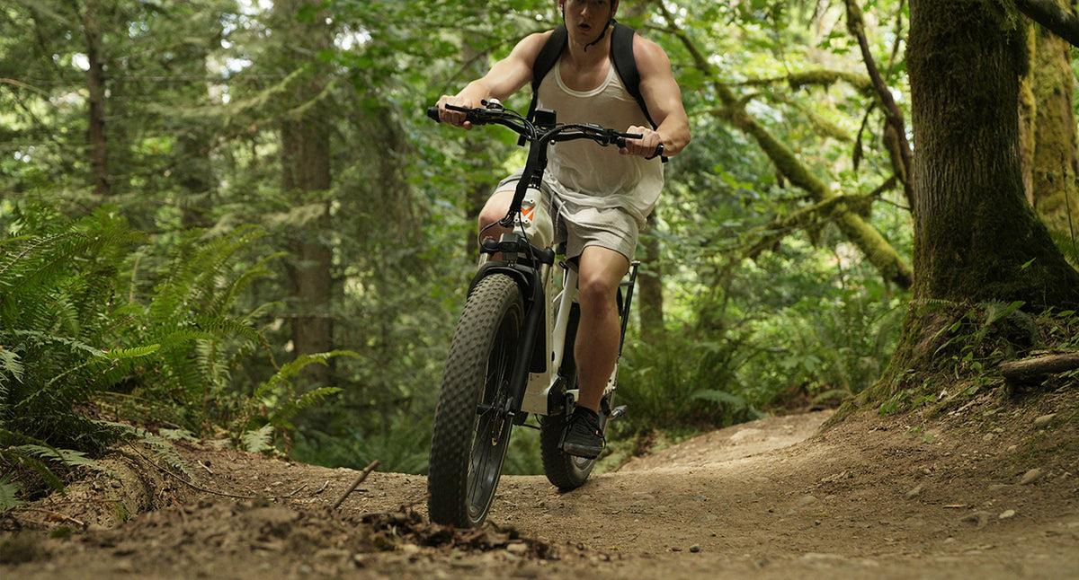All You Need to Know About Aluminum Alloy Electric Bikes