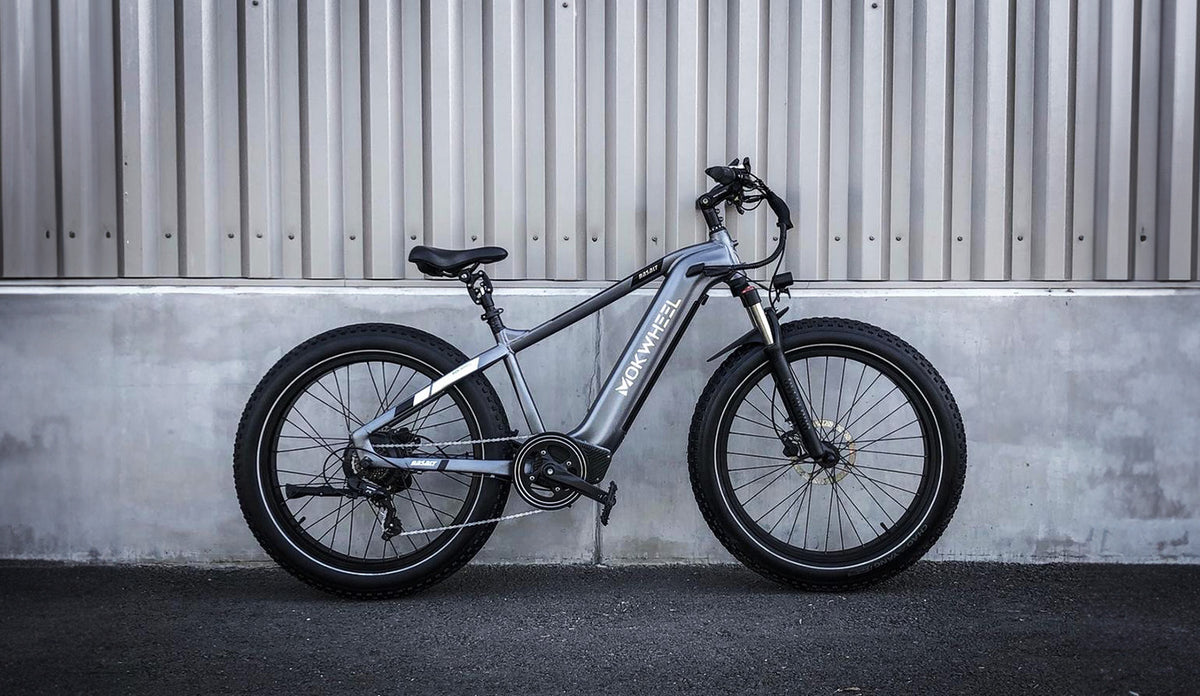 From Novice to Expert: How to Choose the Right Electric Bike for You?